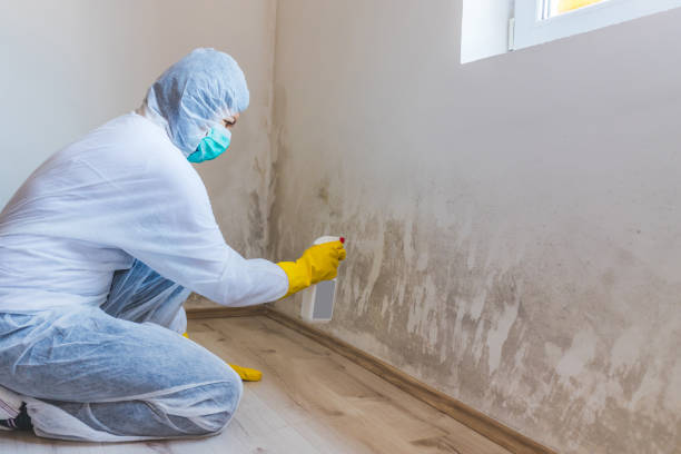 Licensed Mold Testing service in College Park, MD - WQB Mold Removal