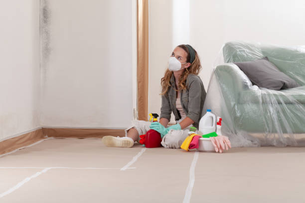 Reliable Mold Testing contractor in College Park, MD by WQB Mold Removal